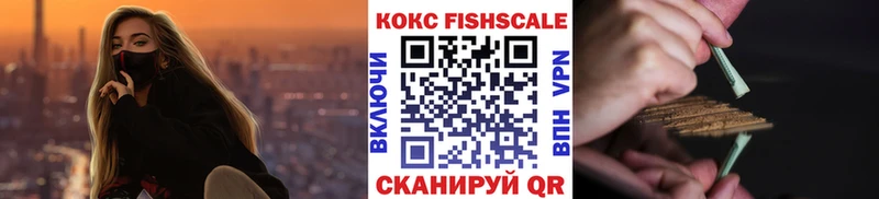 COCAIN Fish Scale  omg сайт  Высоцк 